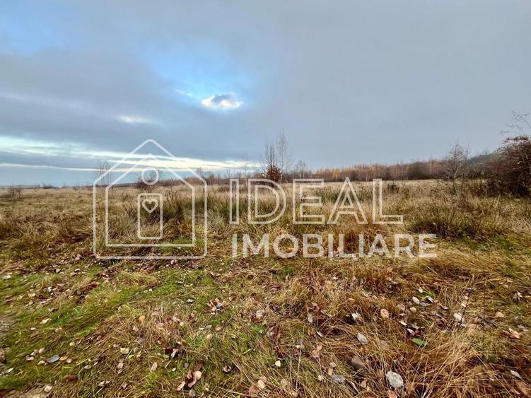Teren agricol extravilan de 6500 mp, în Cârțișoara