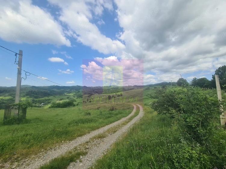 Teren de 9037 mp, în Central