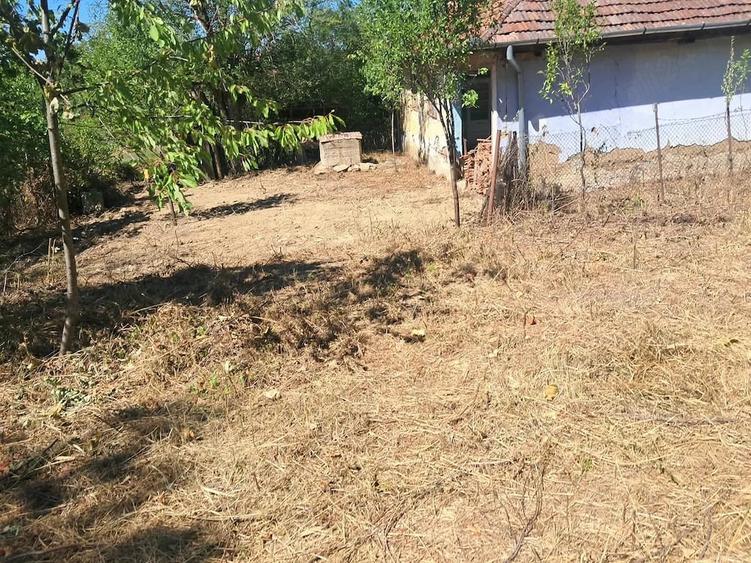 Teren de 5000 mp, în Drăgoteni