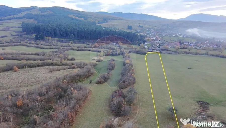 Teren de 5800 mp, în Purcăreni