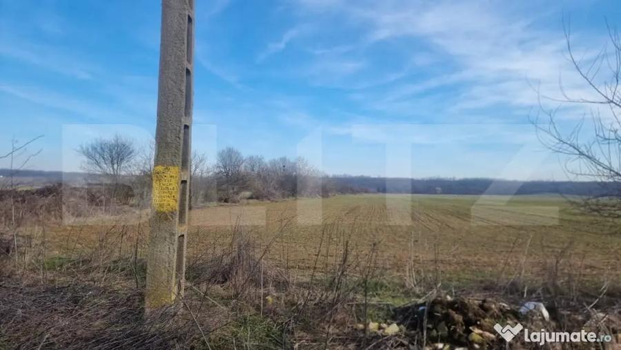 Teren în Lipănești