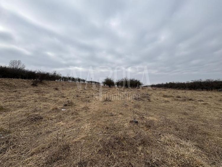 Teren Construcții intravilan de 1038 mp, în Feleacu