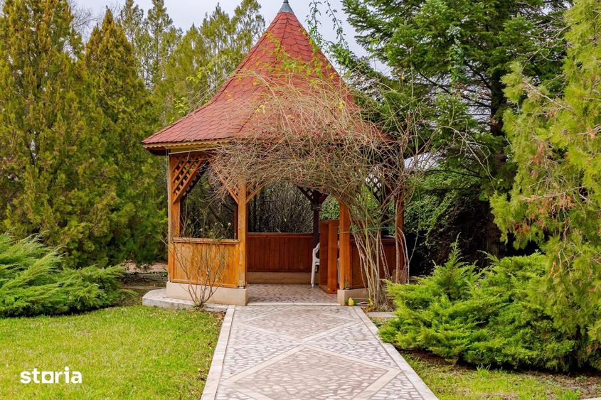 Vanzare vila cu piscina Snagov - Ciofliceni, teren 2649mp - 7