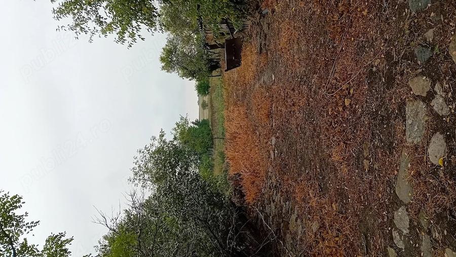 Vand teren intravilan 2744mp cu casa si anexa in ruina in ruina - 3