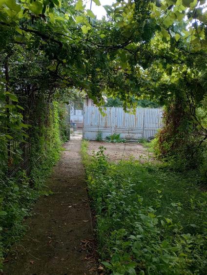 Casă cu 3 camere în Hăbud