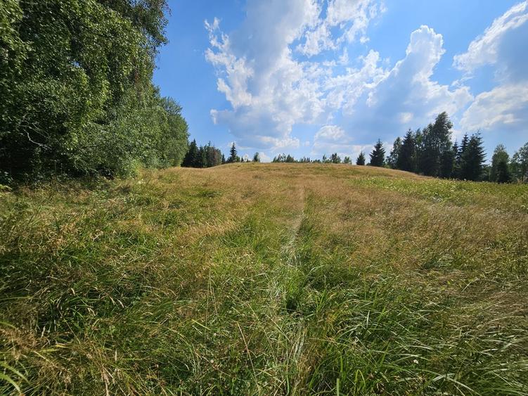 Teren de 9466 mp, în Dealu Negru