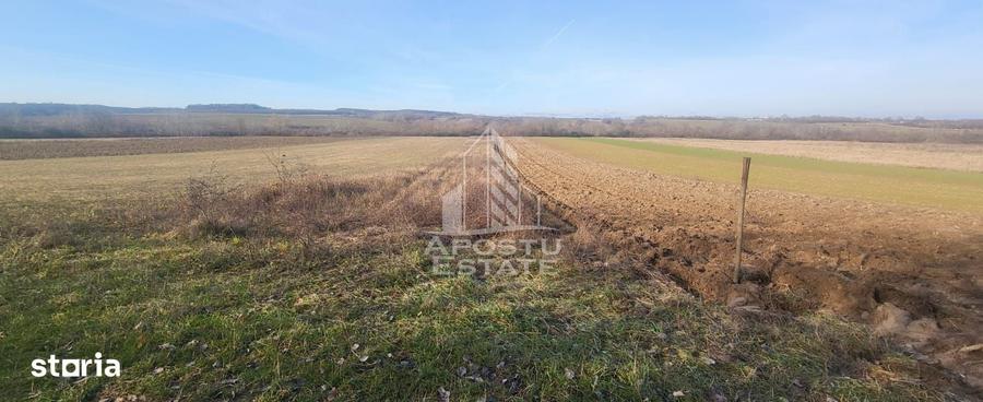 Teren de 5000 mp, în Almaș
