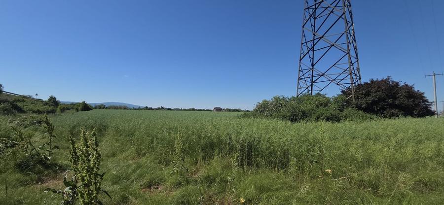 Teren Construcții intravilan de 5255 mp, în Nord