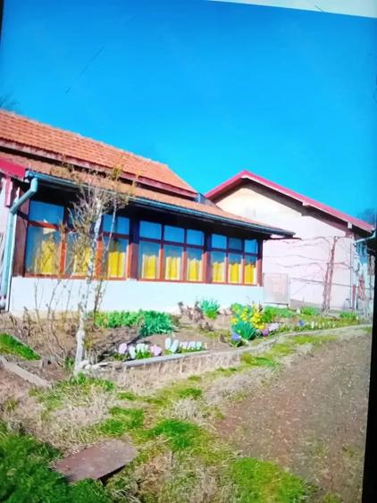 Casă cu 3 camere cu Teren 3500 Mp în Central