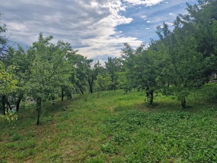 Teren de 1400 mp, în Albota