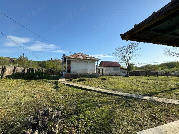Teren de 1200 mp, în Muntenii de Jos