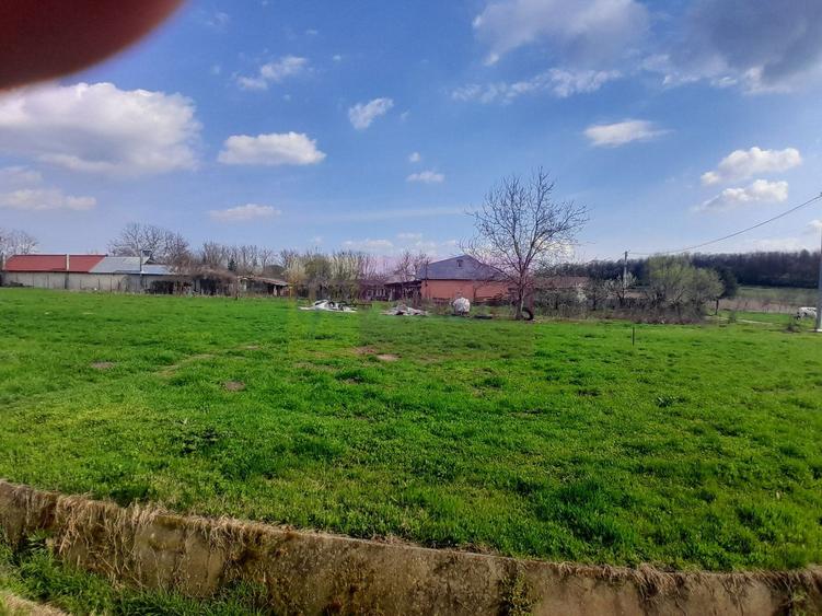 Teren Construcții intravilan de 3400 mp, în Buturugeni
