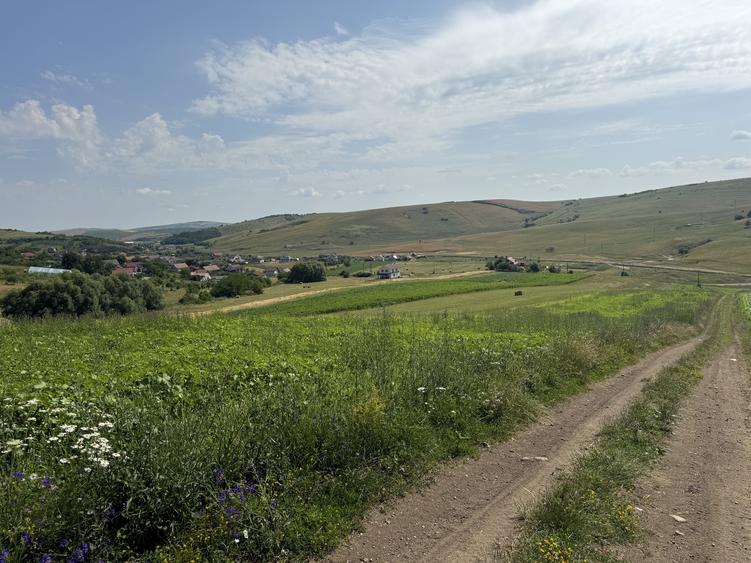 Teren Construcții intravilan de 5800 mp, în Dezmir