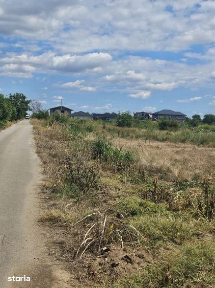 Teren 8000 mp intravilan rezidential Adunatii Copaceni (Mogossesti ) - 1