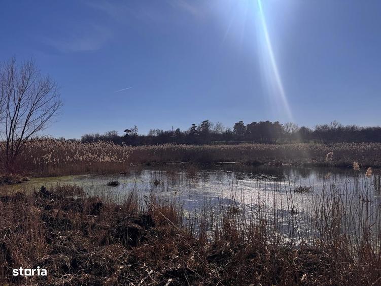 Teren cu deschidere la lac str Orhideelor-conectare imediata la curent - 10