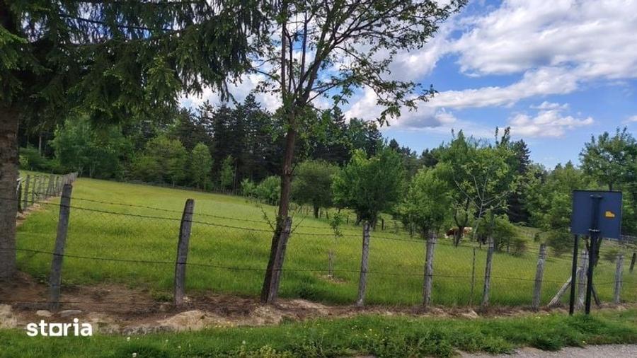Teren intravilan de vanzare in Clung Ag - 2