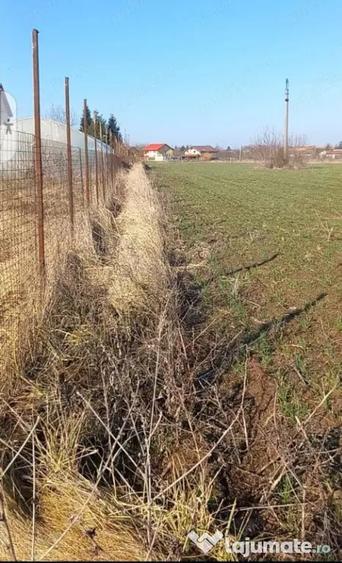 De vanzare urgent & negociabil teren 2500m in Ghermanesti Ilfov - 2