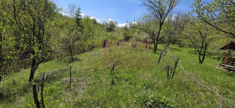 Teren Construcții intravilan de 1494 mp, în Șotrile