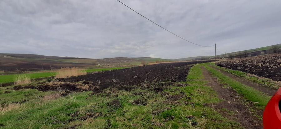 Teren agricol extravilan de 119500 mp, în Iris