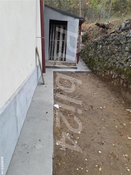 Casă cu 6 camere cu Teren 6000 Mp în Pietreni