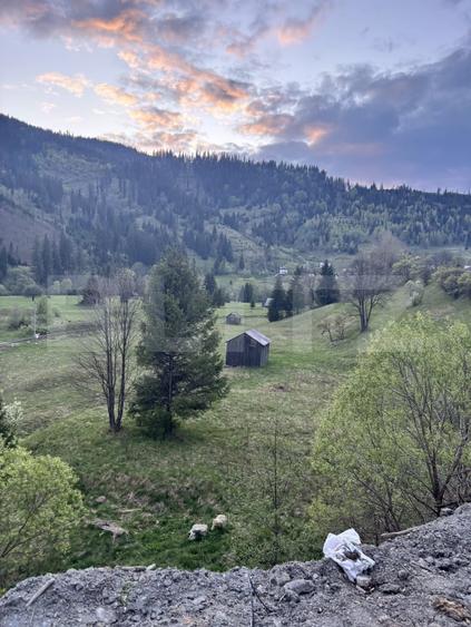 Teren Construcții intravilan de 4666 mp, în Exterior Sud