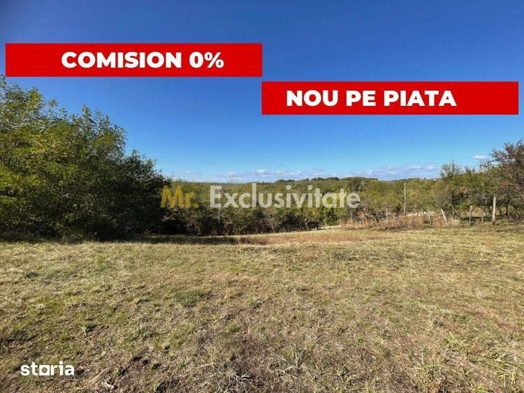Teren de 5000 mp, în Băbana