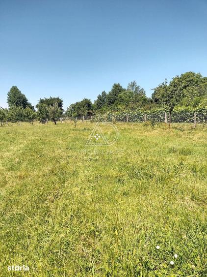 Casă cu 4 camere cu Teren 257 Mp în Crasna
