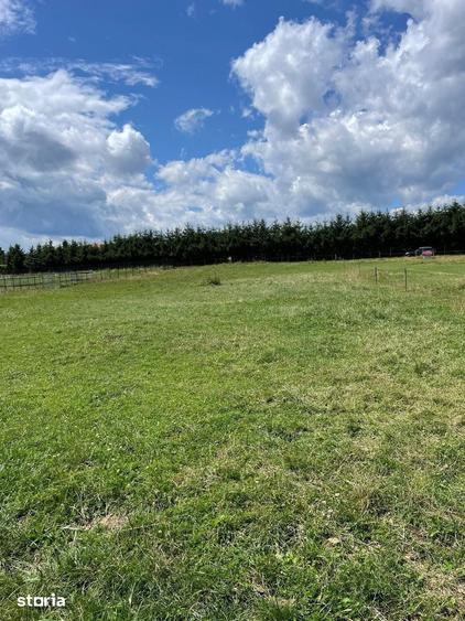 Teren de 5000 mp, în Rucăr