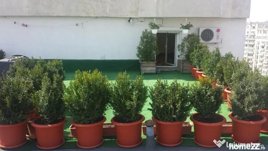 Apartament cu 6 camere decomandat în Alba Iulia