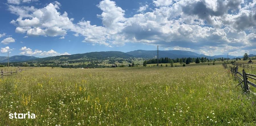 Teren de 21000 mp, în Șaru Dornei