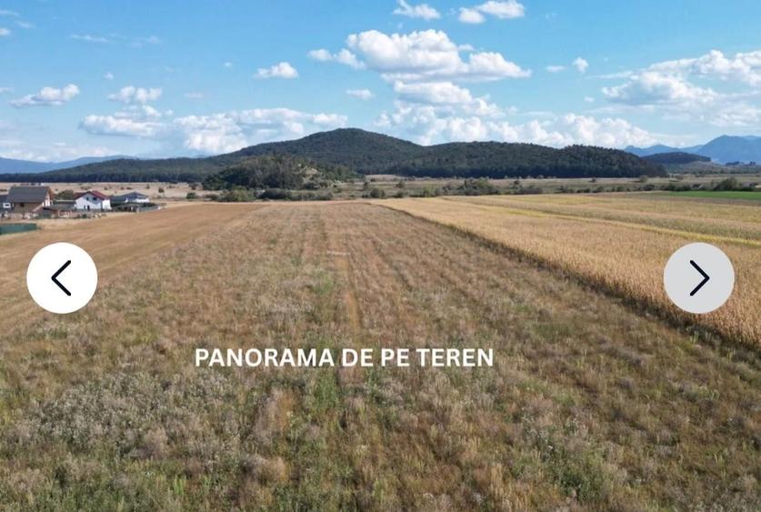 Teren de 30000 mp, în Bod