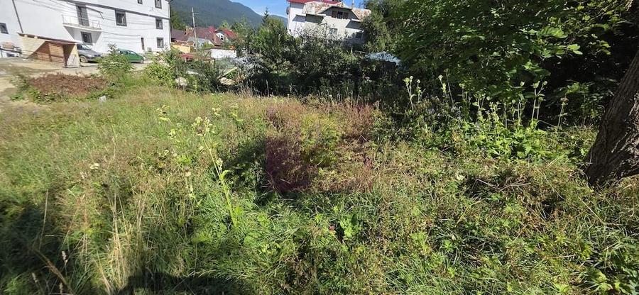 Teren de 288 mp, în Zamora