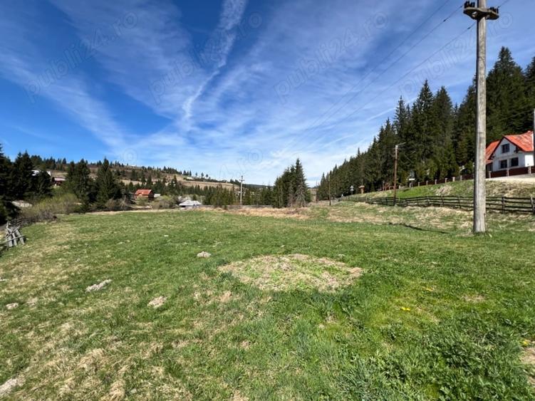 Teren de 3000 mp, în Poiana Horea