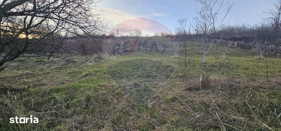 Teren de 2500 mp, în Odobești