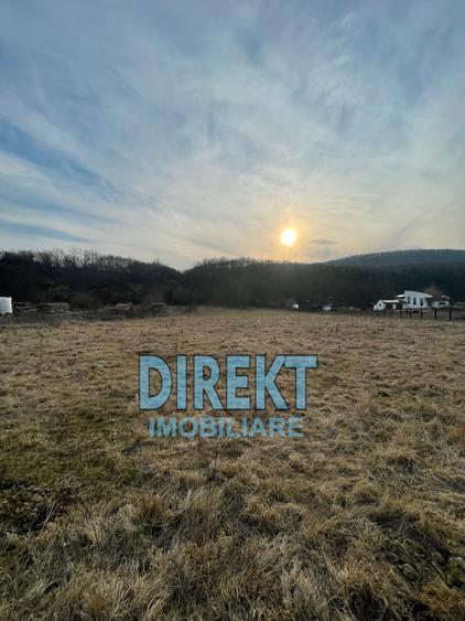 Teren de vanzare, localitatea Sirioara - 2