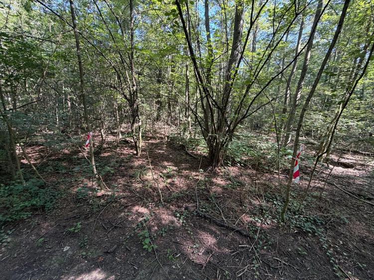 Teren Construcții intravilan de 7500 mp, în 1 Decembrie