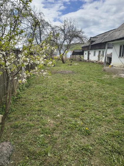 Casă cu Teren 1373 Mp în Prăjoaia