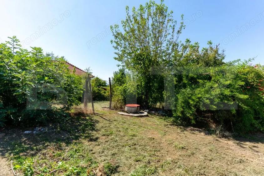 Casă cu Teren 4000 Mp în Rovina (Brănișca)