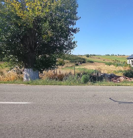 Teren intravilan Prede?ti - 1