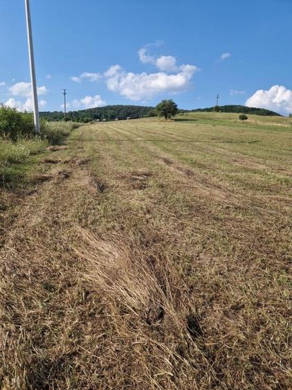 Teren Construcții intravilan de 5800 mp, în Aghireșu-Fabrici