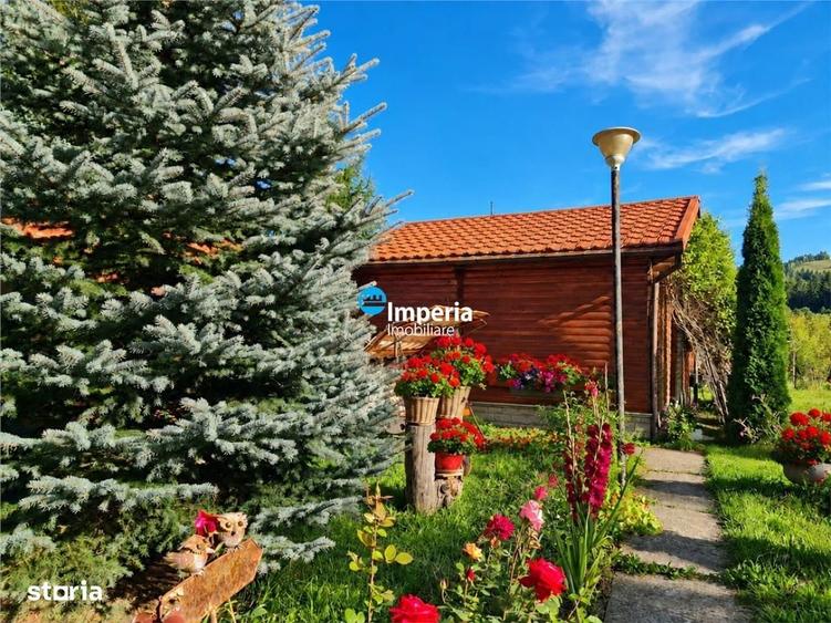 Campulung Moldovenesc, zona Cucoara | 4.544 mp teren | 2 casute locuib - 12