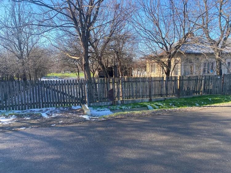Casă cu Teren 2000 Mp în Cuza Vodă