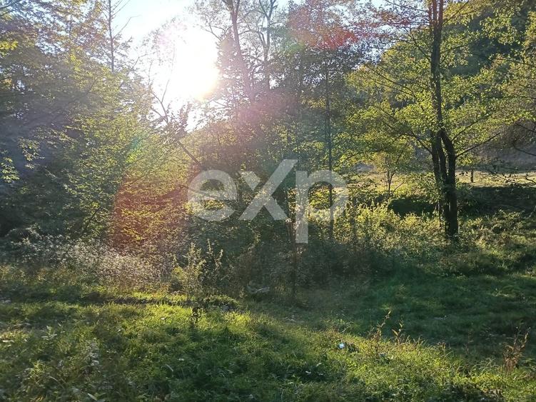 Teren Construcții extravilan de 3700 mp, în Vulturești