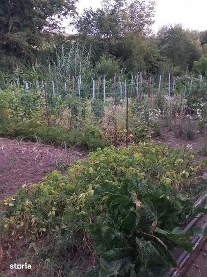 Casă cu 5 camere cu Teren 1000 Mp în Dâmbu Pietros