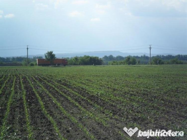 Teren în Poșta Câlnău