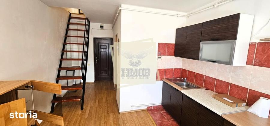 Apartament cu 2 camere, mobilat în Terezian