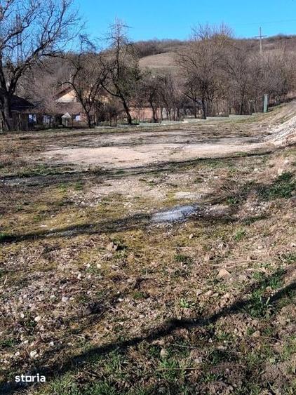 Teren de 8000 mp, în Șoimuș
