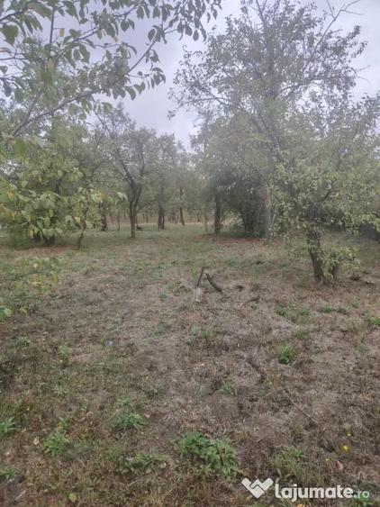 Casă cu 5 camere în Iris