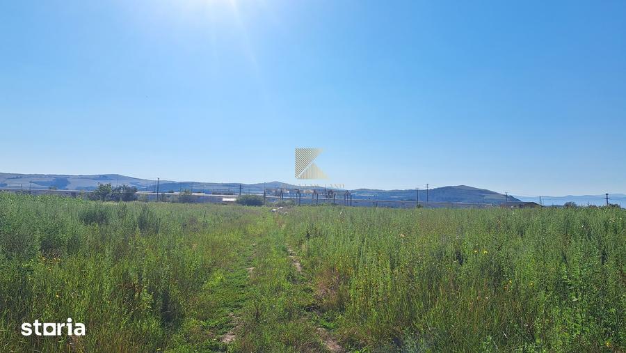 Teren de 20000 mp, în Bod