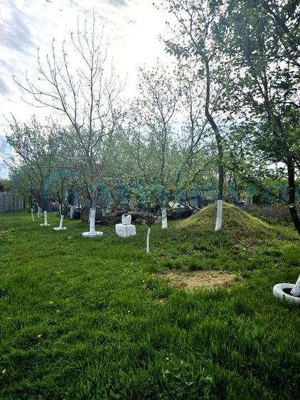 Casă individuală cu 3 camere cu Canalizare în Alparea